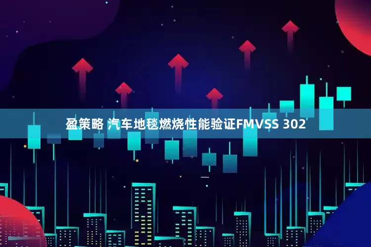 盈策略 汽车地毯燃烧性能验证FMVSS 302