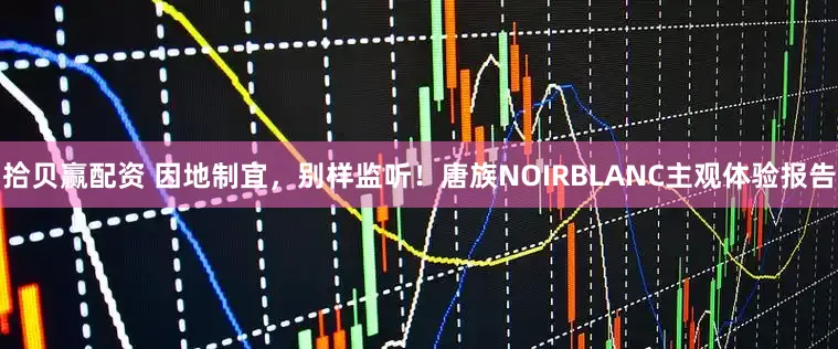 拾贝赢配资 因地制宜，别样监听！唐族NOIRBLANC主观体验报告