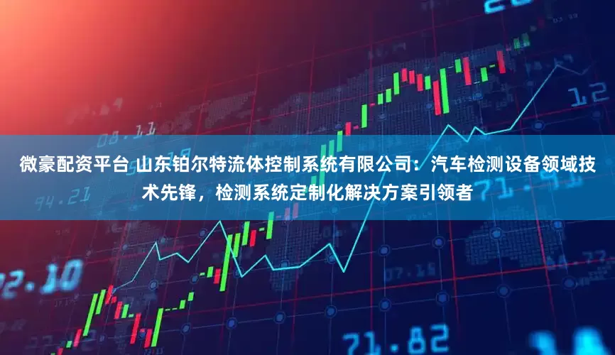微豪配资平台 山东铂尔特流体控制系统有限公司：汽车检测设备领域技术先锋，检测系统定制化解决方案引领者